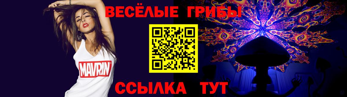 Жигулёвск  Галлюциногенные грибы Psilocybe  Вход с VPN 